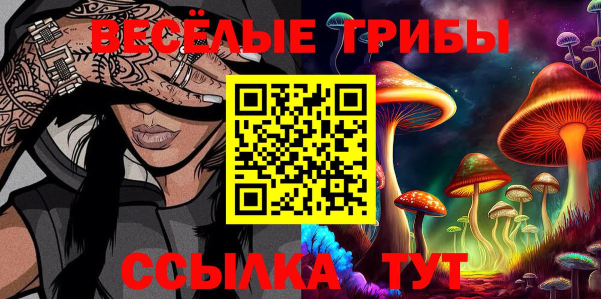 Псилоцибиновые грибы мухоморы Минусинск