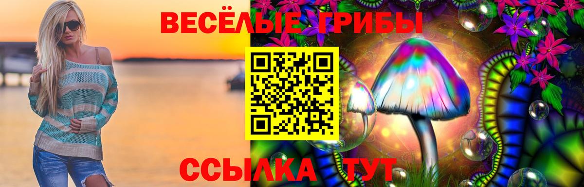 наркошоп  Псилоцибиновые грибы Psilocybine cubensis  Вход с VPN  Минусинск  Псилоцибиновые грибы мухоморы 